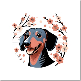 Dachshund Celebrates Spring Amidst Cherry Blossoms and Flowers Posters and Art